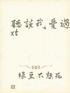 听说我爱过你txt封面