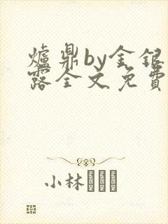 炉鼎by金银花露全文免费阅读笔趣阁