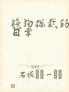 贱狗总裁的私教日常