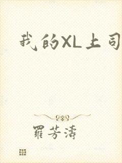 我的XL上司