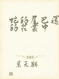 蛇的尾巴还在我的花丛中