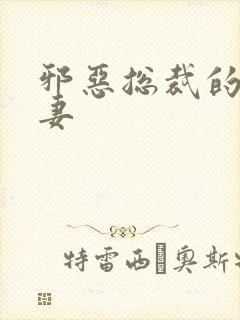 邪恶总裁的娇宠妻