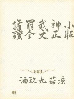 修罗武神小说阅读全文正版