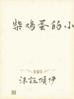 柴鸡蛋的小说