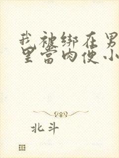 我被绑在男公厕里当肉便小说