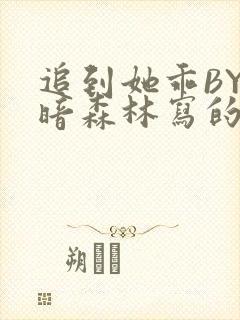 追到她乖BY黑暗森林写的小说