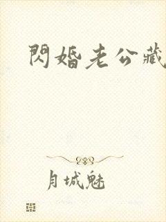 闪婚老公藏不住封面