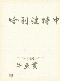 哈利波特中文版