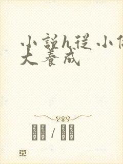 小说h从小做到大养成封面