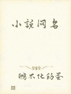小说网名