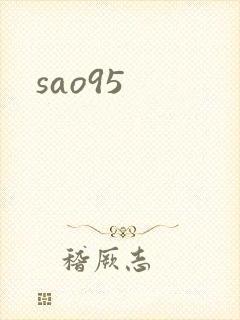 sao95封面
