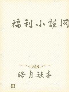 福利小说网封面