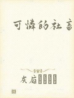 可怜的社畜小说