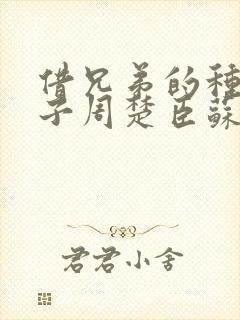 借兄弟的种生孩子周楚臣苏糖