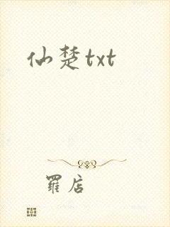 仙楚txt封面