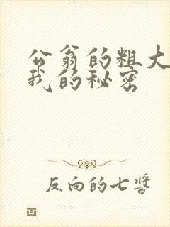 公翁的粗大放进我的秘密封面