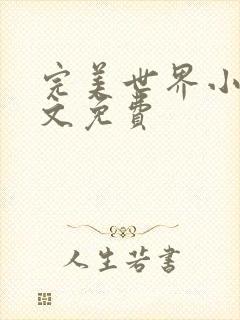 完美世界小说全文免费封面