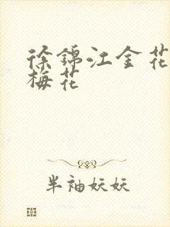 徐锦江金花瓶楷梅花封面