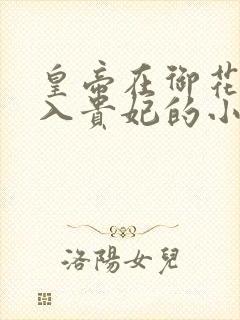 皇帝在御花园进入贵妃的小说