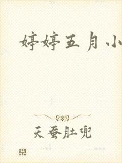 婷婷五月小说封面