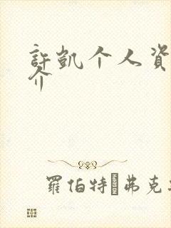 许凯个人资料简介