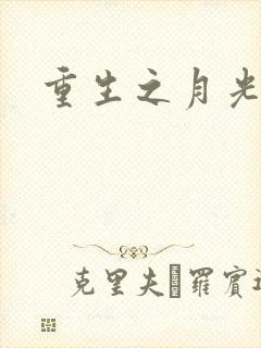 重生之月光少年封面
