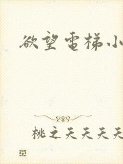 欲望电梯小说