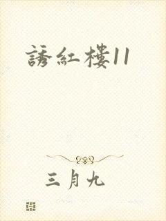 诱红楼11