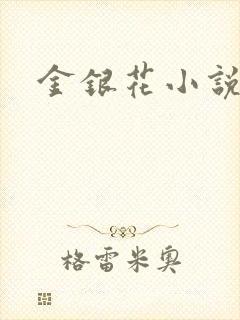 金银花小说乐可