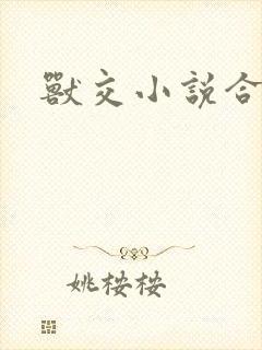 兽交小说合集封面