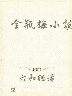 金瓶梅小说在线