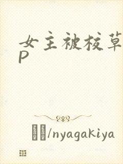 女主被校草们NP