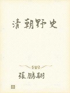 清朝野史