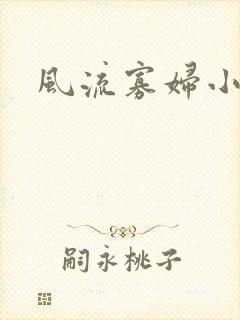 风流寡妇小说封面