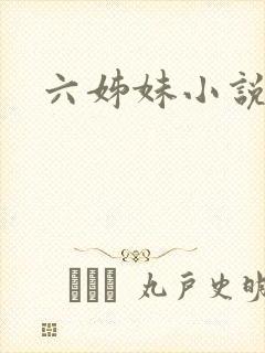 六姊妹小说
