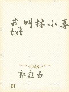 我叫林小喜小说txt封面