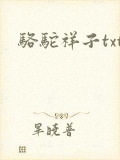 骆驼祥子txt封面