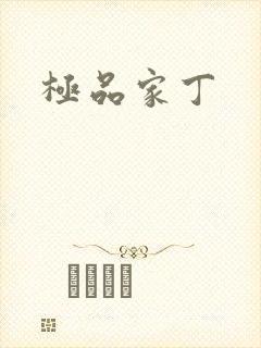 极品家丁