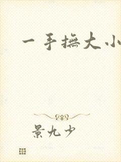 一手抚大小说
