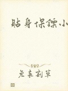 贴身保镖小说封面