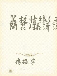 驾校情缘(老树开花)孙潇潇笔趣阁