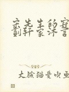 宋先生的宠妻计划轩家沐言