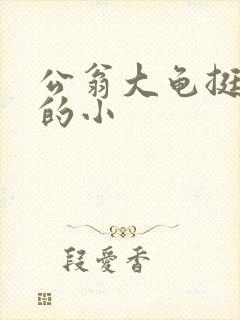 公翁大龟挺进我的小