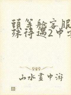 头等舱客服的特殊待遇2中字封面