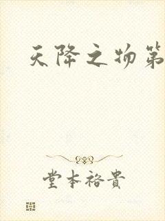 天降之物第一季封面