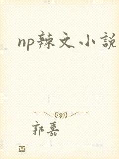 np辣文小说封面