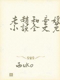 老赵和童媛媛的小说全文免费阅读封面