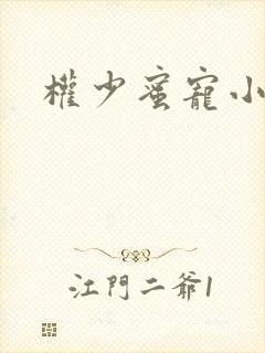 权少蜜宠小娇妻封面