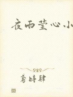 夜雨莹心小说