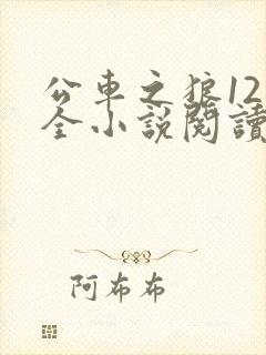 公车之狼12集全小说阅读